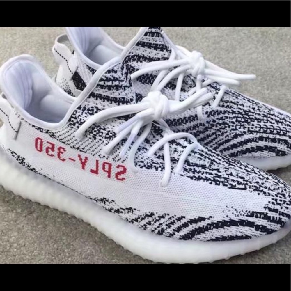 Zebra Yezzys